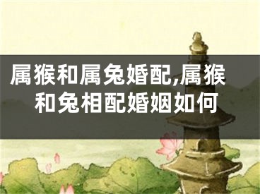 属猴和属兔婚配,属猴和兔相配婚姻如何