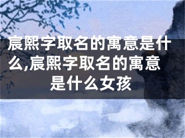 宸熙字取名的寓意是什么,宸熙字取名的寓意是什么女孩