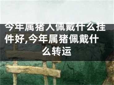 今年属猪人佩戴什么挂件好,今年属猪佩戴什么转运