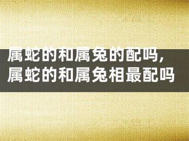 属蛇的和属兔的配吗,属蛇的和属兔相最配吗