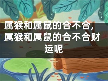 属猴和属鼠的合不合,属猴和属鼠的合不合财运呢