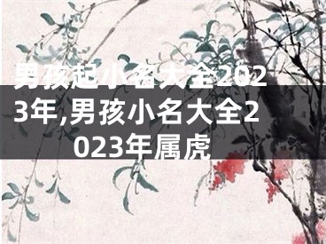 男孩起小名大全2023年,男孩小名大全2023年属虎