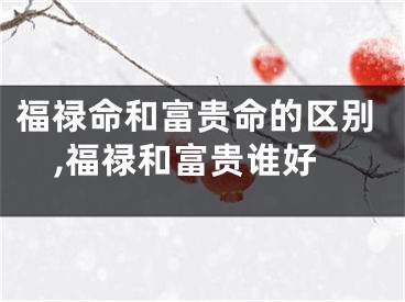 福禄命和富贵命的区别,福禄和富贵谁好