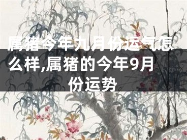 属猪今年九月份运气怎么样,属猪的今年9月份运势
