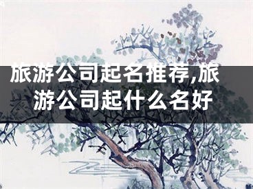旅游公司起名推荐,旅游公司起什么名好