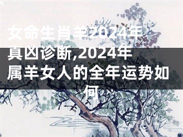 女命生肖羊2024年真凶诊断,2024年属羊女人的全年运势如何