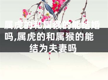 属虎的和属猴的能结婚吗,属虎的和属猴的能结为夫妻吗