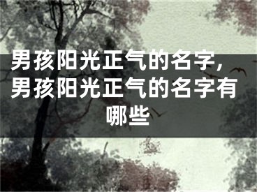 男孩阳光正气的名字,男孩阳光正气的名字有哪些