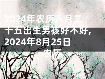2024年农历八月二十五出生男孩好不好,2024年8月25日农历