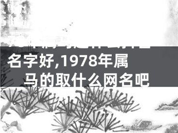 78年属马起什么抖音名字好,1978年属马的取什么网名吧