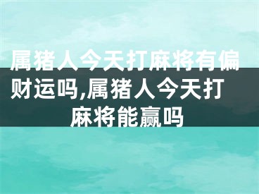 属猪人今天打麻将有偏财运吗,属猪人今天打麻将能赢吗