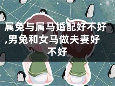 属兔与属马婚配好不好,男兔和女马做夫妻好不好
