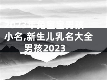 2023年兔宝宝男孩小名,新生儿乳名大全男孩2023