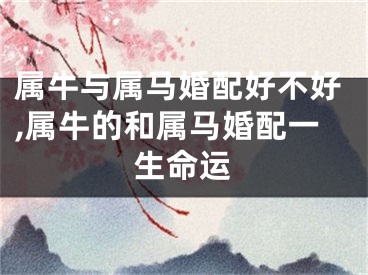 属牛与属马婚配好不好,属牛的和属马婚配一生命运