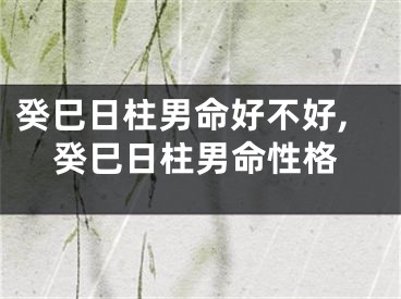癸巳日柱男命好不好,癸巳日柱男命性格
