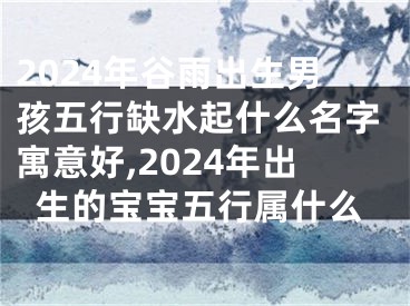 2024年谷雨出生男孩五行缺水起什么名字寓意好,2024年出生的宝宝五行属什么