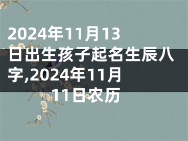 2024年11月13日出生孩子起名生辰八字,2024年11月11日农历