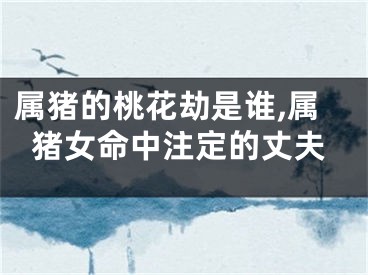 属猪的桃花劫是谁,属猪女命中注定的丈夫