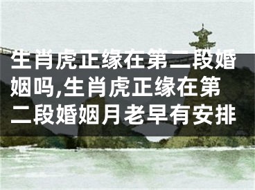 生肖虎正缘在第二段婚姻吗,生肖虎正缘在第二段婚姻月老早有安排