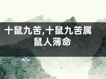 十鼠九苦,十鼠九苦属鼠人薄命