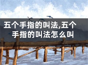 五个手指的叫法,五个手指的叫法怎么叫
