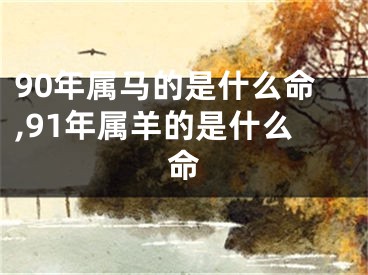 90年属马的是什么命,91年属羊的是什么命