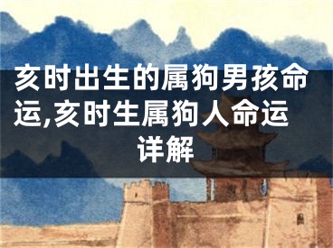 亥时出生的属狗男孩命运,亥时生属狗人命运详解
