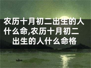 农历十月初二出生的人什么命,农历十月初二出生的人什么命格