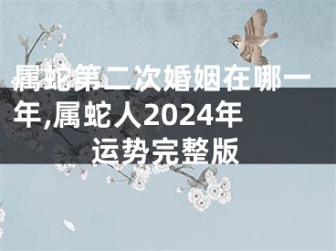 属蛇第二次婚姻在哪一年,属蛇人2024年运势完整版
