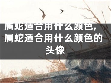 属蛇适合用什么颜色,属蛇适合用什么颜色的头像