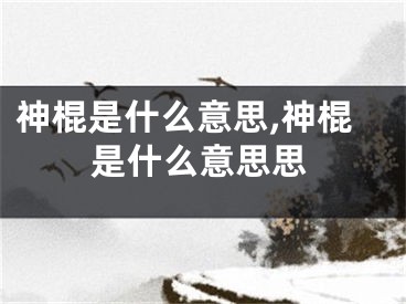 神棍是什么意思,神棍是什么意思思