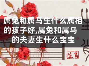 属兔和属马生什么属相的孩子好,属兔和属马的夫妻生什么宝宝