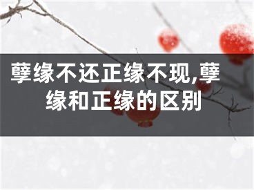 孽缘不还正缘不现,孽缘和正缘的区别
