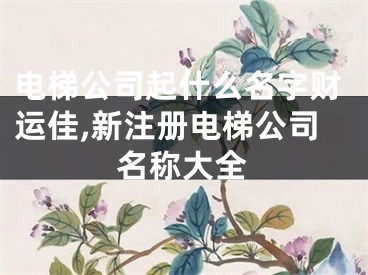 电梯公司起什么名字财运佳,新注册电梯公司名称大全