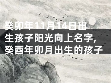 癸卯年11月14日出生孩子阳光向上名字,癸酉年卯月出生的孩子