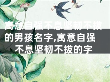 寓意自强不息坚韧不拔的男孩名字,寓意自强不息坚韧不拔的字
