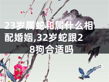 23岁属蛇和属什么相配婚姻,32岁蛇跟28狗合适吗