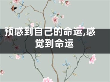 预感到自己的命运,感觉到命运