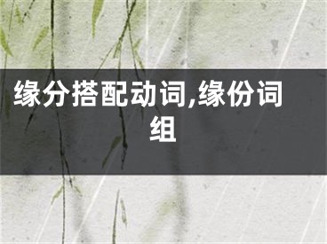 缘分搭配动词,缘份词组