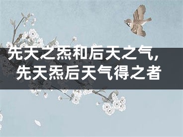 先天之炁和后天之气,先天炁后天气得之者