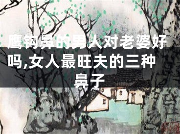 鹰钩鼻的男人对老婆好吗,女人最旺夫的三种鼻子