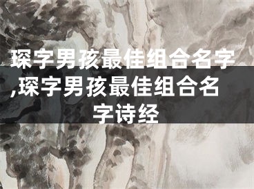 琛字男孩最佳组合名字,琛字男孩最佳组合名字诗经