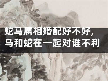 蛇马属相婚配好不好,马和蛇在一起对谁不利