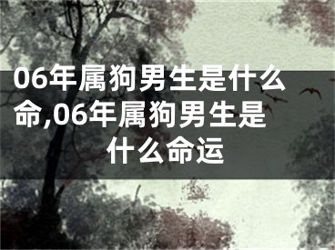 06年属狗男生是什么命,06年属狗男生是什么命运