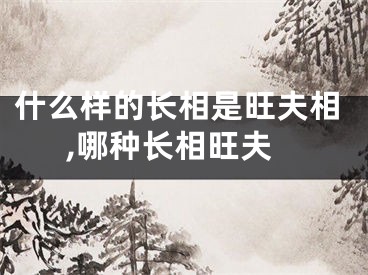 什么样的长相是旺夫相,哪种长相旺夫
