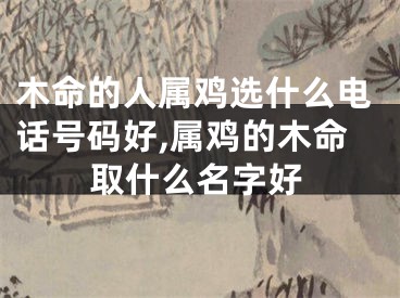 木命的人属鸡选什么电话号码好,属鸡的木命取什么名字好