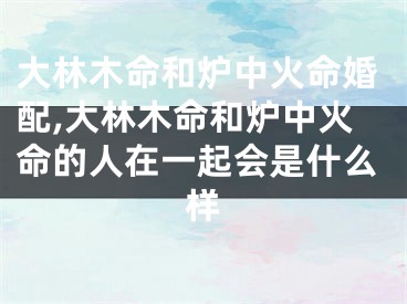 大林木命和炉中火命婚配,大林木命和炉中火命的人在一起会是什么样