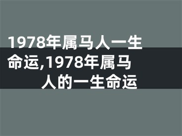 1978年属马人一生命运,1978年属马人的一生命运