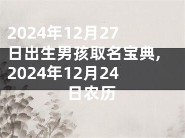 2024年12月27日出生男孩取名宝典,2024年12月24日农历