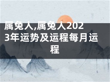 属兔人,属兔人2023年运势及运程每月运程